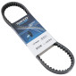 COURROIE SCOOT ADAPTABLE HONDA 50 ZOOMER (783 x 18) -DAYCO- 8021787632873