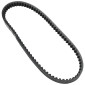 COURROIE SCOOT ADAPTABLE HONDA 50 ZOOMER 2005>2012 (783 x 18) -DAYCO POWER- 8021787632873