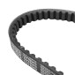 COURROIE SCOOT ADAPTABLE HONDA 50 ZOOMER (783 x 18) -DAYCO- 8021787632873