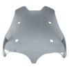 WINDSHIELD -2B007709-