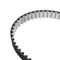 COURROIE DE DISTRIBUTION DAYCO POUR DUCATI (89 dts) (QUALITE ORIGINE) 8021787054064