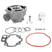 CYLINDRE 50 A BOITE ADAPTABLE MINARELLI 50 AM6/BETA 50 RR/RIEJU 50 MRT/SHERCO 50 SM-R, SE-R (DIAM 40,30 mm) -MAGNETI MARELLI- 8050947980622