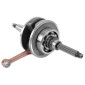 EMBIELLAGE/VILEBREQUIN MAXISCOOTER ADAPTABLE YAMAHA 125 XMAX / MBK 125 SKYCRUISER (LIVRE AVEC ROULEMENTS) -P2R- 8050947994926