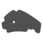 AIR FILTER FOAM FOR MAXISCOOTER PIAGGIO 400 MP3, 400 X8, 500 BEVERLY, 125 X7, 300 BEVERLY/PEUGEOT 250 GEOPOLIS, 300 GEOSTYLE, 500 SATELIS/GILERA 125 NEXUS -SGR- 8434290202455