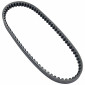 COURROIE SCOOT ADAPTABLE MBK 50 BOOSTER, NITRO, OVETTO 2T/YAMAHA 50 BWS, AEROX, NEOS/APRILIA 50 RALLY/BETA 50 ARK, EIKON/MALAGUTI 50 CIAK, F10, F12, F15 (747 x 16,5 x 8) -DAYCO POWER- 8021787575644
