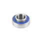 ROULEMENT CADRE SUPENDU BLACKBEARING MAX 10x22-9/6 mm (6900-E 2rs) 3760365231484