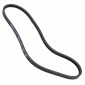 BELT FOR MOPED PIAGGIO 50 CIAO TRE 1971>1999 (978x12,5) -DAYCO- 8021787568066