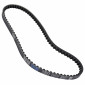 COURROIE SCOOT ADAPTABLE HONDA 50 SH 1984>1995 (860 x 15 x 8) -DAYCO POWER- 8021787568202