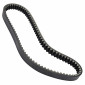 COURROIE MAXISCOOTER ADAPTABLE PIAGGIO 125 TYPHOON, SKIPPER/GILERA 125 RUNNER (828 x 22 x 9,5) -DAYCO POWER- 8021787568257