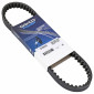 BELT FOR MAXISCOOTER PIAGGIO 125 SFERA, VESPA ET4 (743 x 18 x 8) -DAYCO- 8021787568530