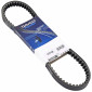 BELT FOR SCOOT BENELLI 50 491, NAKED/ITALJET 50 FORMULA/MALAGUTI 50 CROSSER/PEUGEOT 125 SV (808 x 16,8 x 9) -DAYCO- 8021787568295