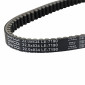 BELT FOR MAXISCOOTER PIAGGIO 125 HEXAGON 1994>1999, SKIPPER 1994>1997 (834 x 22 x 9,5) -DAYCO- 8021787568356