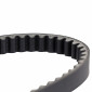 COURROIE SCOOT ADAPTABLE PIAGGIO 50 ZIP 2T ET 4T 2000>, VESPA LX 2T ET 4T 2005>, VESPA ET2, VESPA ET4/ITALJET 50 TORPEDO (732 x 18,5 x 8) -DAYCO POWER- 8021787575705