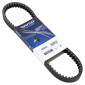 COURROIE SCOOT ADAPTABLE APRILIA 50 HABANA, MOJITO, SCARABEO/PEUGEOT 100 ELYSEO, SPEEDFIGHT, TREKKER, VIVACITY/SUZUKI 50 KATANA (782x18,4) -DAYCO POWER- 8021787568646