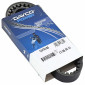 BELT FOR MAXISCOOTER YAMAHA 125 CYGNUS/MBK 125 FLAME (778 x 22 x 9) -DAYCO- 8021787568790