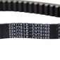 BELT FOR MAXISCOOTER YAMAHA 125 CYGNUS/MBK 125 FLAME (778 x 22 x 9) -DAYCO- 8021787568790