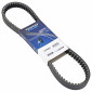 BELT FOR MAXISCOOTER HONDA 125 PANTHEON 2003>2005/MALAGUTI 125 CENTRO 2003>2008 STANDARD (918 x 22,3 x 10) -DAYCO- 8021787568943