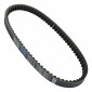 BELT FOR MAXISCOOTER HONDA 110 LEAD 2008> (741 x 18,6 x 9) -DAYCO- 8021787569346
