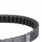 BELT FOR MAXISCOOTER HONDA 110 LEAD 2008> (741 x 18,6 x 9) -DAYCO- 8021787569346