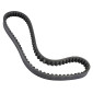 BELT FOR SCOOT PIAGGIO 50 FREE 1992>2002/NRG 1994>1998/NTT 1994>1996 (804x17,5) -DAYCO- 8021787568080