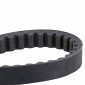BELT FOR SCOOT PIAGGIO 50 FREE 1992>2002/NRG 1994>1998/NTT 1994>1996 (804x17,5) -DAYCO- 8021787568080