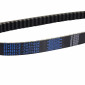 COURROIE MAXISCOOTER ADAPTABLE PIAGGIO 125 TYPHOON, SKIPPER/GILERA 125 RUNNER (828 x 22 x 9,5) -DAYCO KEVLAR- 8021787568240