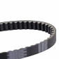 BELT FOR MAXISCOOTER YAMAHA 125 MAJESTY, MAXTER, TEOS/MBK 125 DOODO, SKYLINER, THUNDER/APRILIA 125 SR/MALAGUTI 125 MADISON/ITALJET 125 MOLLENIUM (832 x 22,2 x 9,6) -DAYCO KEVLAR- 8021787568615