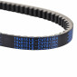 BELT FOR MAXISCOOTER KYMCO 125 BET&WIN, DINK, GRAND-DINK/APRILIA 125 LEONARDO, SCARABEO (815 x 19 x 10,1) -DAYCO KEVLAR- 8021787568677