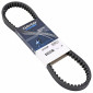 COURROIE MAXISCOOTER ADAPTABLE PEUGEOT 125 ELYSEO, ELYSTAR, JET-FORCE (832 x 18,5 x 9,5) -DAYCO KEVLAR- 8021787568738
