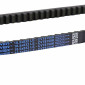COURROIE MAXISCOOTER ADAPTABLE PEUGEOT 125 ELYSEO, ELYSTAR, JET-FORCE (832 x 18,5 x 9,5) -DAYCO KEVLAR- 8021787568738