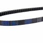BELT FOR MAXISCOOTER KYMCO 125 AGILITY, MOVIE, PEOPLE, PEOPLE-S, SUPER-8/MALAGUTI 125 CIAK (800 x 20 x 9,6) -DAYCO KEVLAR- 8021787568820