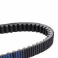 COURROIE MAXISCOOTER ADAPTABLE HONDA 125 PCX 2018>2020 (873 x 24) -DAYCO KEVLAR- 8021787632903