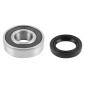 ROULEMENT DE ROUE + JOINT SPI ADAPTABLE MBK 50 BOOSTER AR/YAMAHA 50 BWS AR (KIT 6203-2RS) 3701213405961