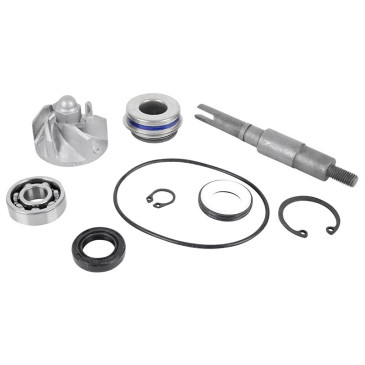 KIT REPARATION POMPE A EAU MAXISCOOTER ADAPTABLE HONDA 125 SH 2001>2012, 125 PANTHEON, 125 DYLAN -MAGNETI MARELLI- 8050947969900