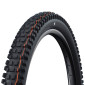PNEU VTT / VAE 29 X 2.50 SCHWALBE ALBERT EVO RADIAL GRAVITY NOIR TS (63-622) TUBELESS READY HOMOLOGUE VAE e50 4026495945288