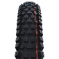 PNEU VTT / VAE 29 X 2.50 SCHWALBE ALBERT EVO RADIAL GRAVITY NOIR TS (63-622) TUBELESS READY HOMOLOGUE VAE e50 4026495945288