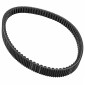 COURROIE MAXISCOOTER POLINI ORIGINAL POUR HONDA 125-150 PCX 2021> (849 x 22,1 x 10,3 mm x 26°) (248.131) 8054705126901