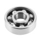 ROULEMENT D'EMBIELLAGE 6303 (17x47x14) CERAMIQUE CAGE ACIER ADAPTABLE MINARELLI 50 AM6/MBK 50 X-POWER, X-LIMIT/YAMAHA 50 TZR, DTR, TZR/BETA 50 RR/PEUGEOT 50 XPS/APRILIA 50 RS(VENDU A L'UNITE) 3667385000147