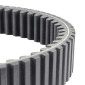 COURROIE QUAD ADAPTABLE CF MOTO 500 ZFORCE TRAIL EPS 2018>2021 (878 x 36,3) -DAYCO POWER- 8021787361834