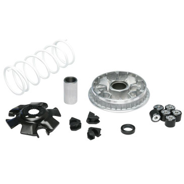 VARIATOR FOR MAXISCOOTER MALOSSI MULTIVAR 2000 SPORT FOR SUZUKI 125 BURGMAN 2001>, SIXTEEN 2008>, EPICURO 2001> (UH + K7) 3700948133507