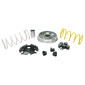 VARIATOR FOR MAXISCOOTER MALOSSI MULTIVAR 2000 SPORT FOR PIAGGIO 125 LIBERTY 3V 2013>, PRIMAVERA 3V 2013>, VESPA SPRINT 3V 2013> 3700948137253