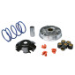 VARIATEUR MAXISCOOTER MALOSSI MULTIVAR 2000 SPORT POUR PEUGEOT 100 VIVACITY, SPEEDFIGHT, TREKKER, ELYSEO 2T 3700948138205