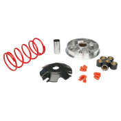 VARIATEUR MAXISCOOTER MALOSSI MULTIVAR 2000 SPORT POUR YAMAHA 115 D'ELIGHT 4T 3700948138366