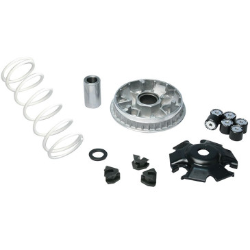 VARIATEUR MAXISCOOTER MALOSSI MULTIVAR 2000 SPORT POUR KYMCO 125 DOWNTOWN, DINK STREET LC 4T A INJECTION, K-XCT 2013> PEOPLE GTI 2010> / KAWASAKI 125 J 2014> 3700948133828