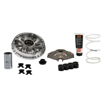 VARIATOR FOR MAXISCOOTER MALOSSI MULTIVAR 2000 SPORT FOR HONDA 350 SH 2021>, ADV 2021>, FORZA 2021> EURO 5 3700948264997