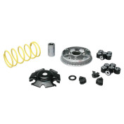 VARIATEUR MAXISCOOTER MALOSSI MULTIVAR 2000 SPORT POUR KYMCO 125 AGILITY, LIKE, MOVIE, PEOPLE, SUPER 8 (MOTEUR GY6) 3700948134528