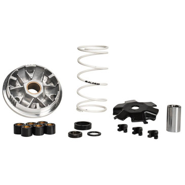 VARIATEUR SCOOT MALOSSI MULTIVAR SPORT POUR MBK 50 BOOSTER, NITRO/YAMAHA 50 BWS, AEROX/APRILIA 50 SR/MALAGUTI 50 F12 (517075T) 3700948133026