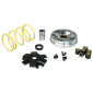 VARIATEUR CYCLO MALOSSI MULTIVAR POUR PEUGEOT 50 FOX (517073T) 3700948133033
