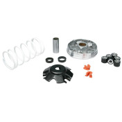 VARIATEUR SCOOT MALOSSI MULTIVAR SPORT POUR PIAGGIO 50 ZIP 2000>, NRG, VESPA LX, TYPHOON 2000>/GILERA 50 STALKER, RUNNER, DNA, ICE (519019T) 3700948133057