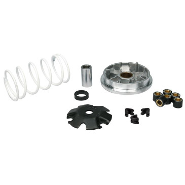 VARIATEUR SCOOT MALOSSI MULTIVAR SPORT POUR PEUGEOT 50 TKR, TREKKER, LUDIX, SPEEDFIGHT, ZENITH, BUXY (518752) 3700948133064